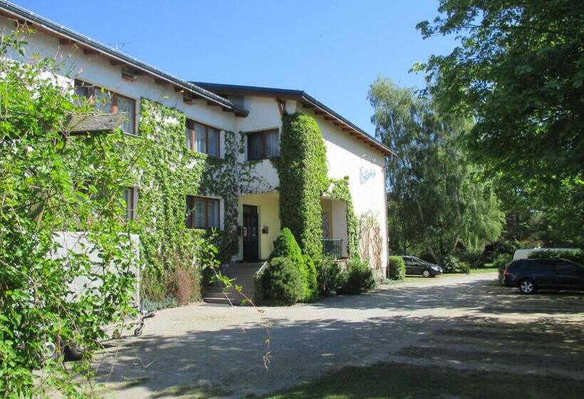 בית מלון כפרי Pension Boddenblick