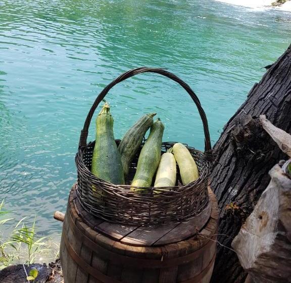 فندق Pension Helgoländ