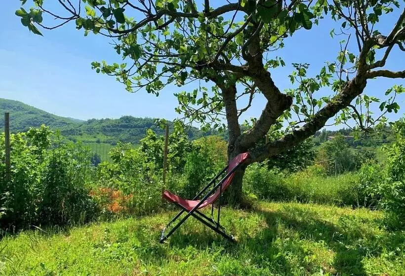 ベッドアンドブレックファースト Butterflies Rest