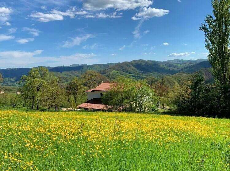 צימר Butterflies Rest