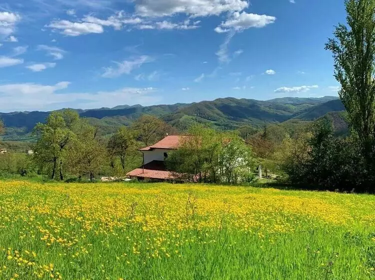 ベッドアンドブレックファースト Butterflies Rest