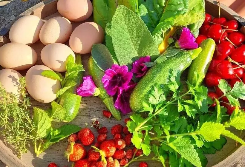 ベッドアンドブレックファースト Butterflies Rest