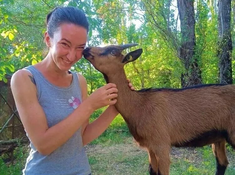 ベッドアンドブレックファースト Butterflies Rest