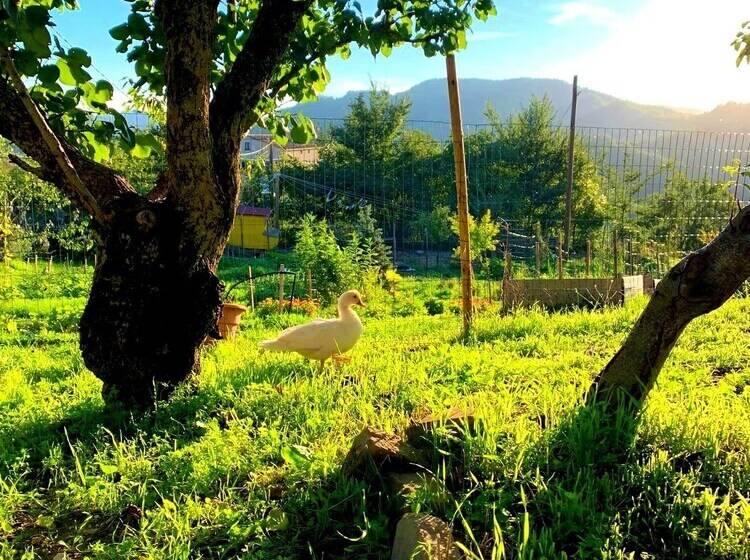 צימר Butterflies Rest