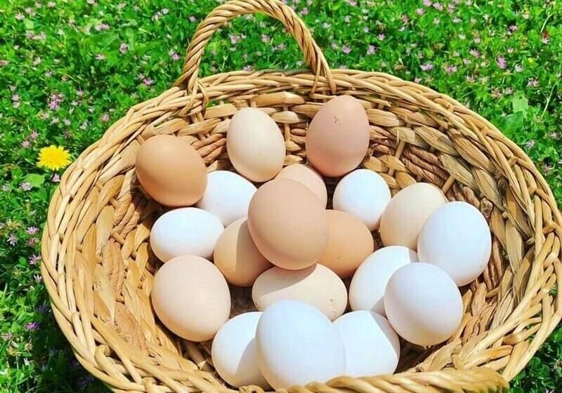 צימר Butterflies Rest