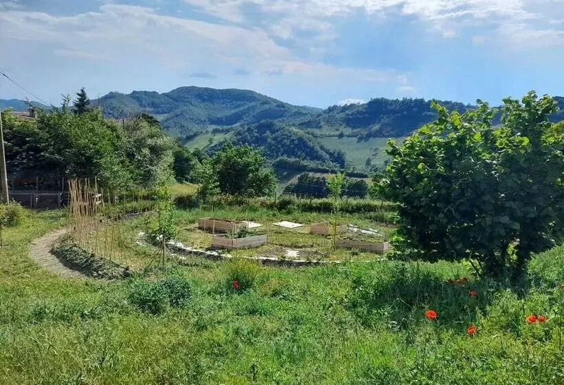 ベッドアンドブレックファースト Butterflies Rest