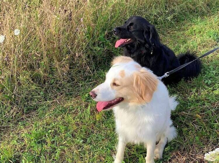 צימר Butterflies Rest