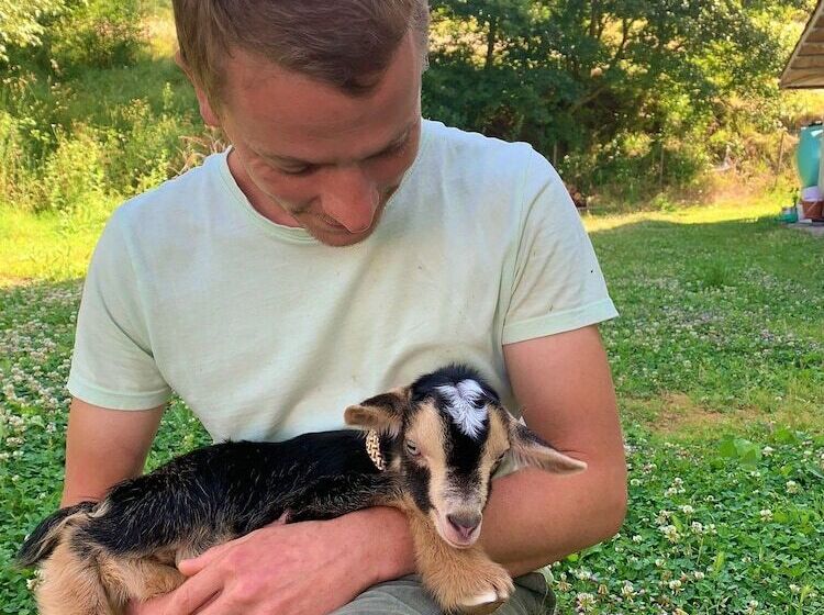 צימר Butterflies Rest