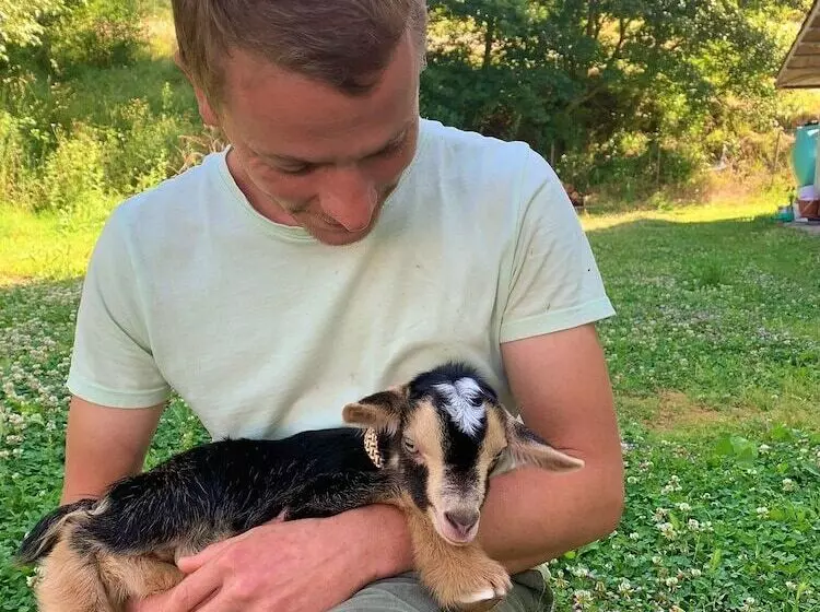 ベッドアンドブレックファースト Butterflies Rest