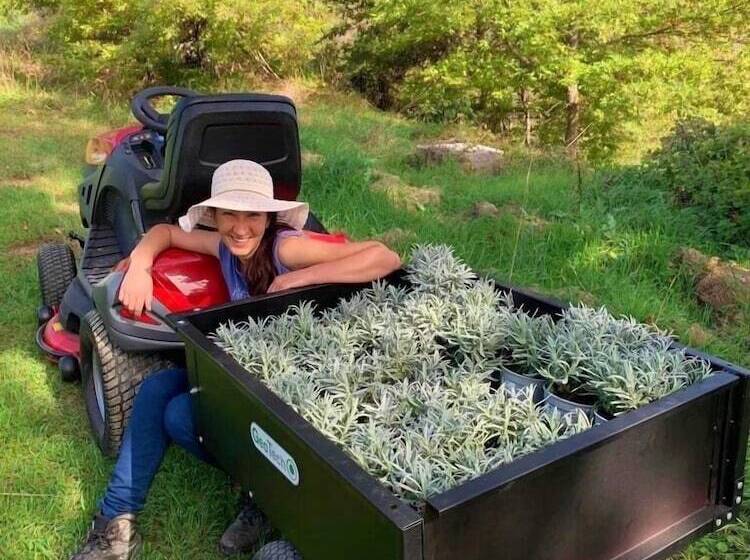 צימר Butterflies Rest