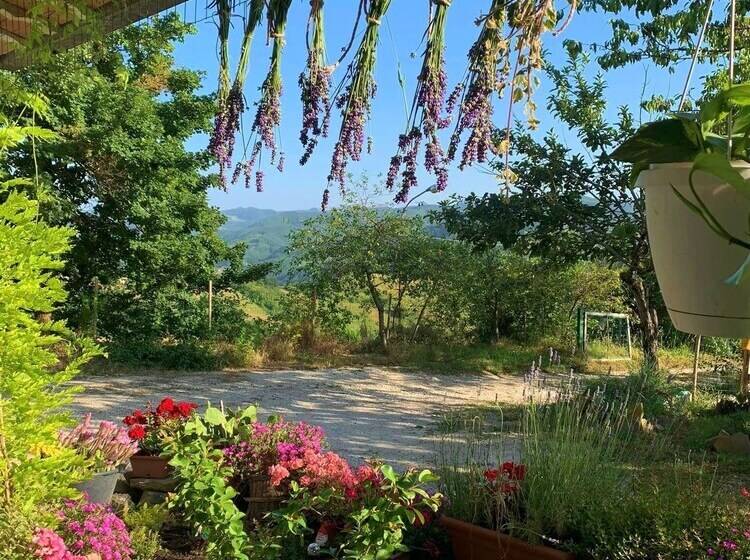 צימר Butterflies Rest