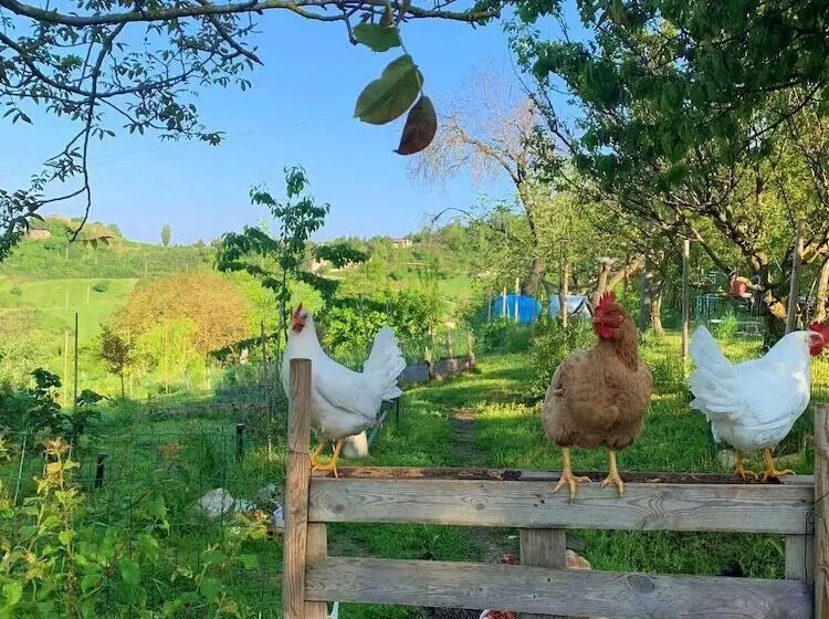 ベッドアンドブレックファースト Butterflies Rest