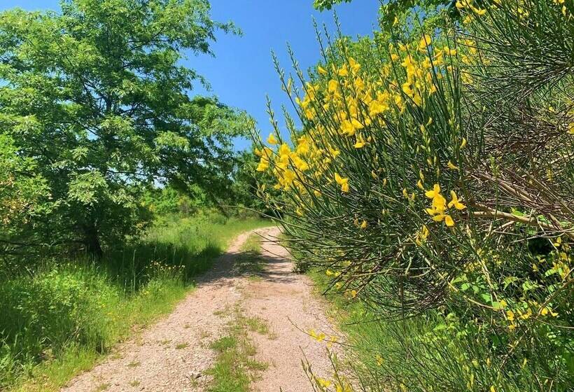 צימר Butterflies Rest