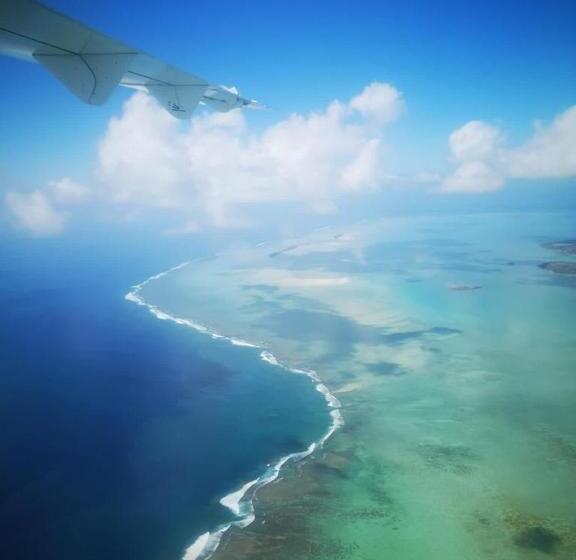 تختخواب و صبحانه L Arche