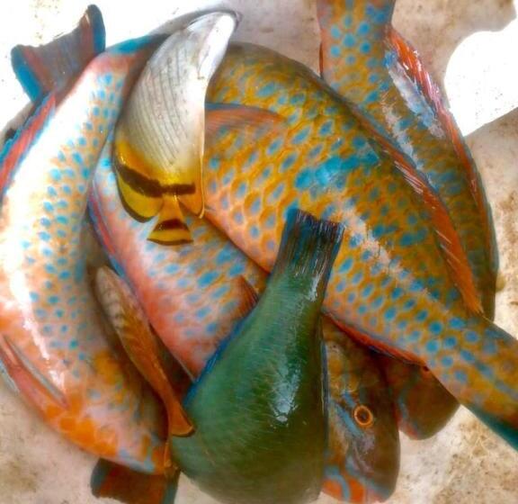 تختخواب و صبحانه L Arche