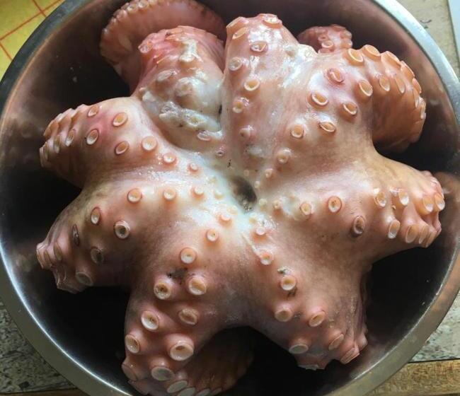 تختخواب و صبحانه L Arche