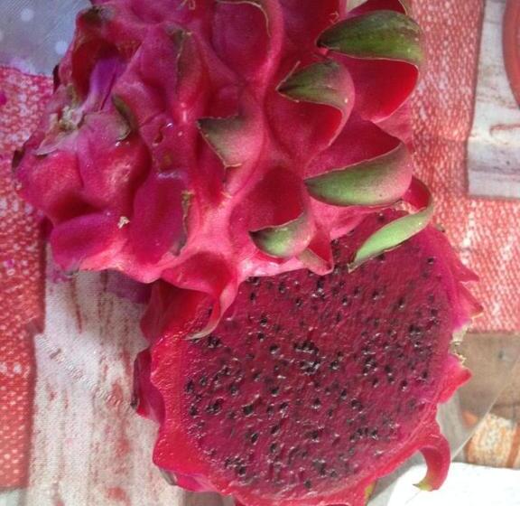 تختخواب و صبحانه L Arche