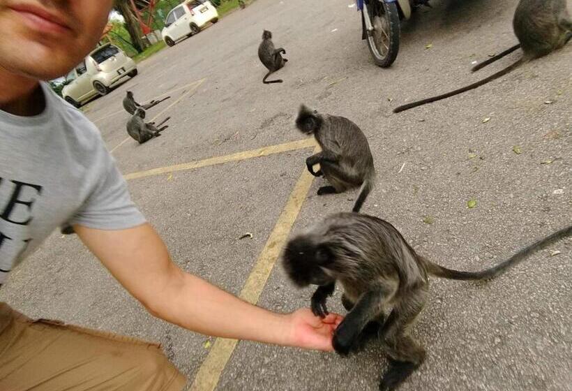 بنسيون Nursultan Grand Guest House