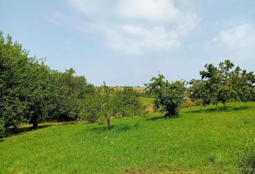 Hotelli Borgo De  Muracci