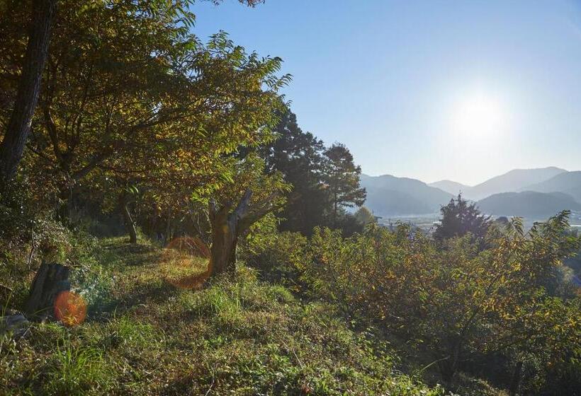 بنسيون Small Hotel Tonari