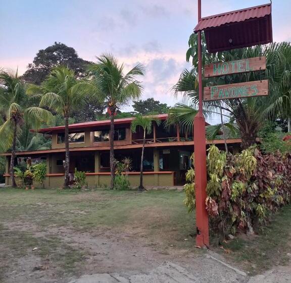 בית מלון כפרי Il Delfino