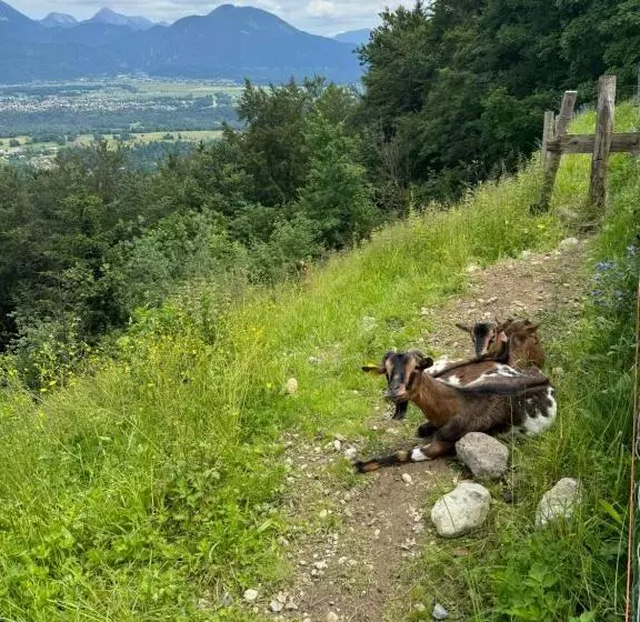 هاستل Koča Na Taležu