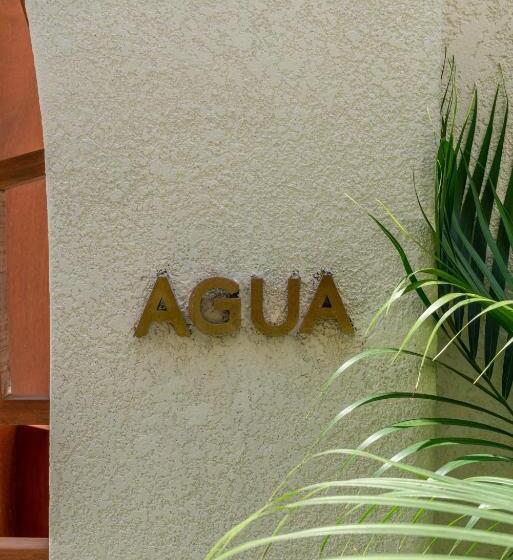 Отель Alegria De La Vida