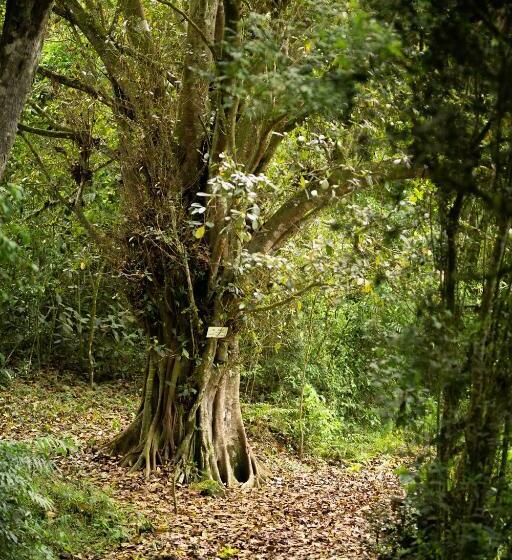 Hotel Niebli Historical Farm And Lodge At Pululahua Volcano