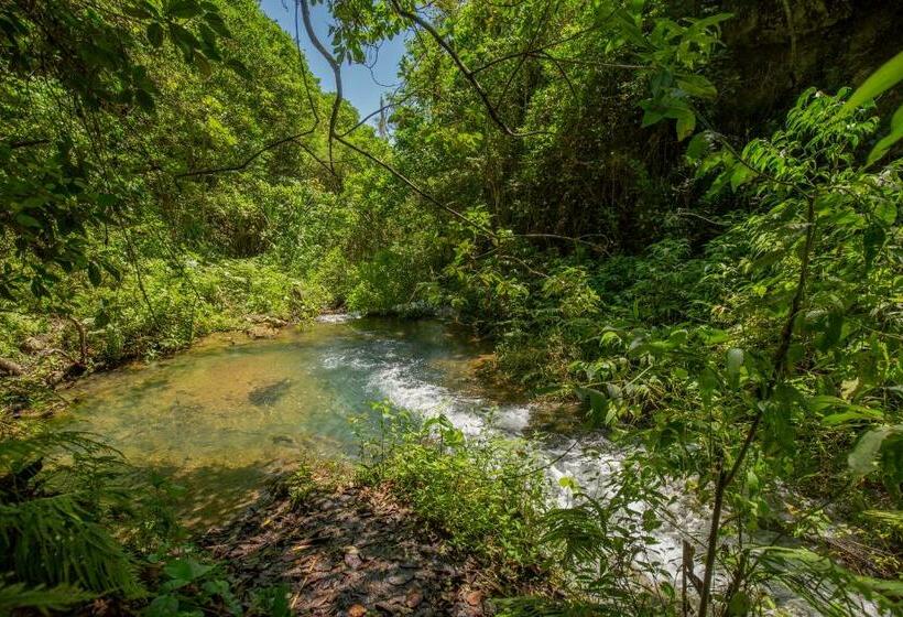 Hotel Niebli Historical Farm And Lodge At Pululahua Volcano