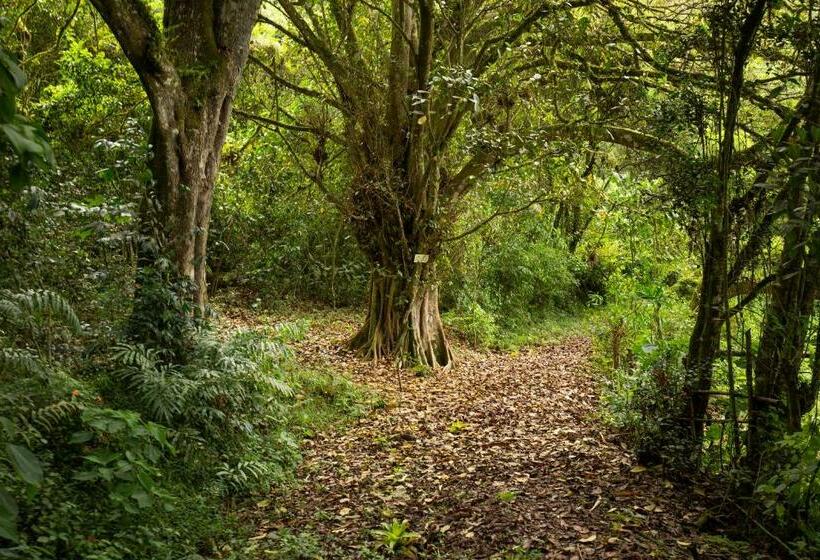 Hotel Niebli Historical Farm And Lodge At Pululahua Volcano