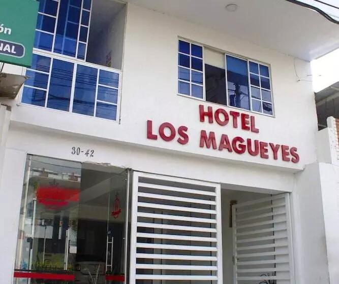 Hotelli Los Magueyes