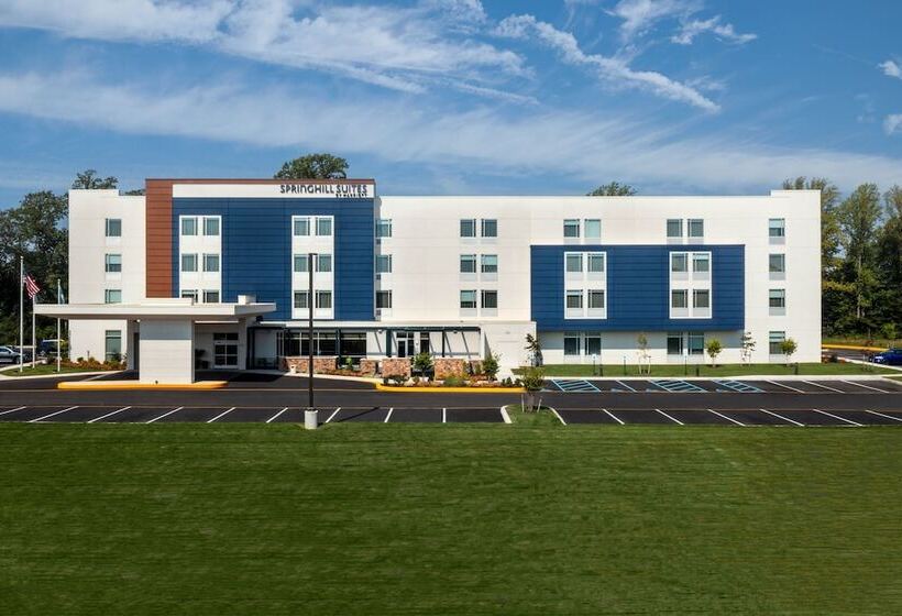 Otel Springhill Suites By Marriott Frederica