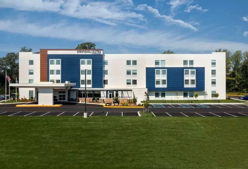 Hotelli Springhill Suites By Marriott Frederica