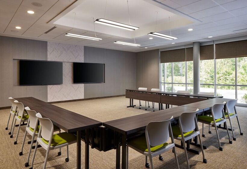 Otel Springhill Suites By Marriott Frederica