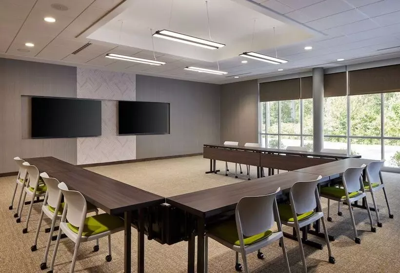 Hotelli Springhill Suites By Marriott Frederica