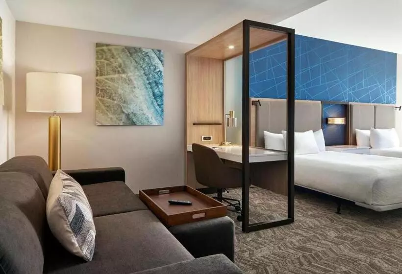 Hotelli Springhill Suites By Marriott Frederica