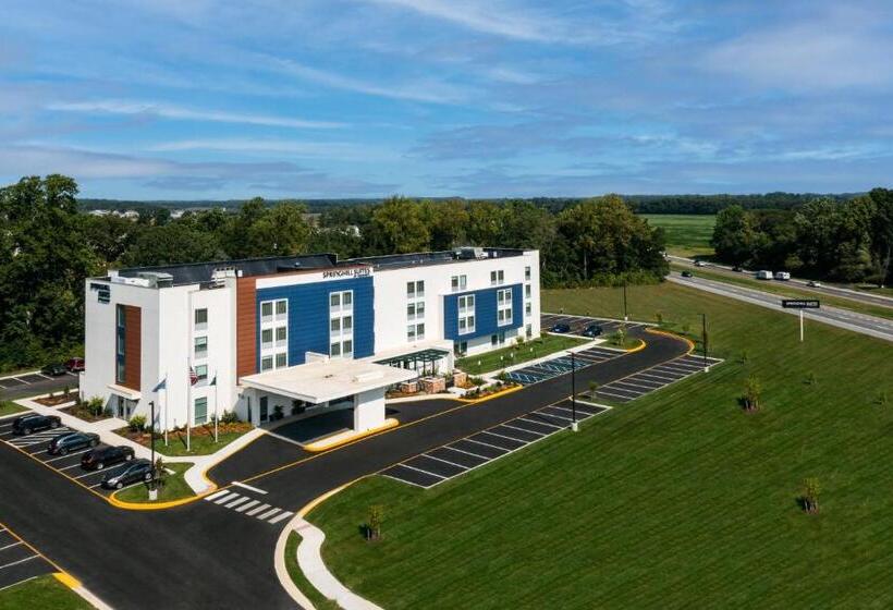 Otel Springhill Suites By Marriott Frederica