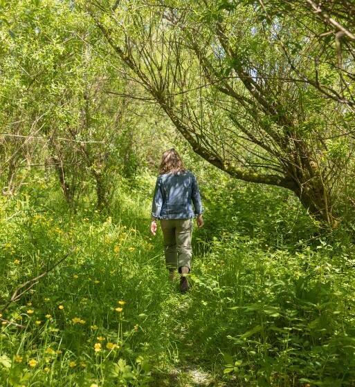 Cămin The Common Knowledge Centre