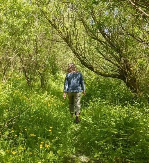 ユースホステル The Common Knowledge Centre