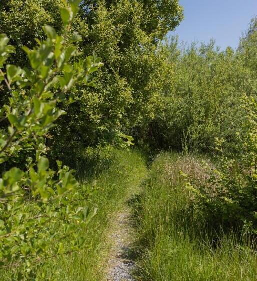 Cămin The Common Knowledge Centre