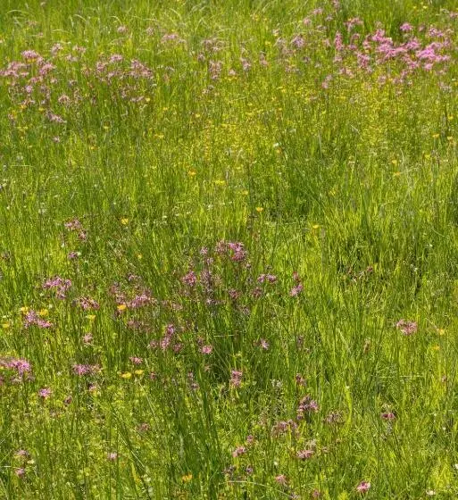 ユースホステル The Common Knowledge Centre