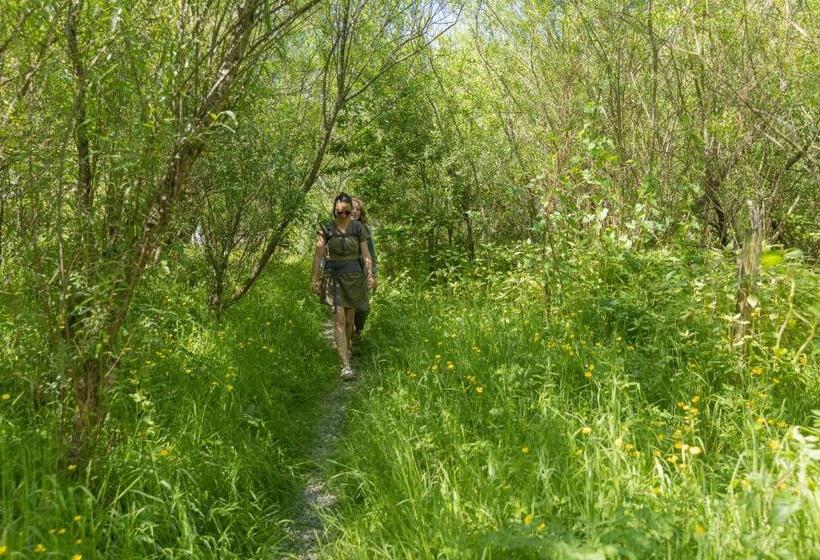 Cămin The Common Knowledge Centre