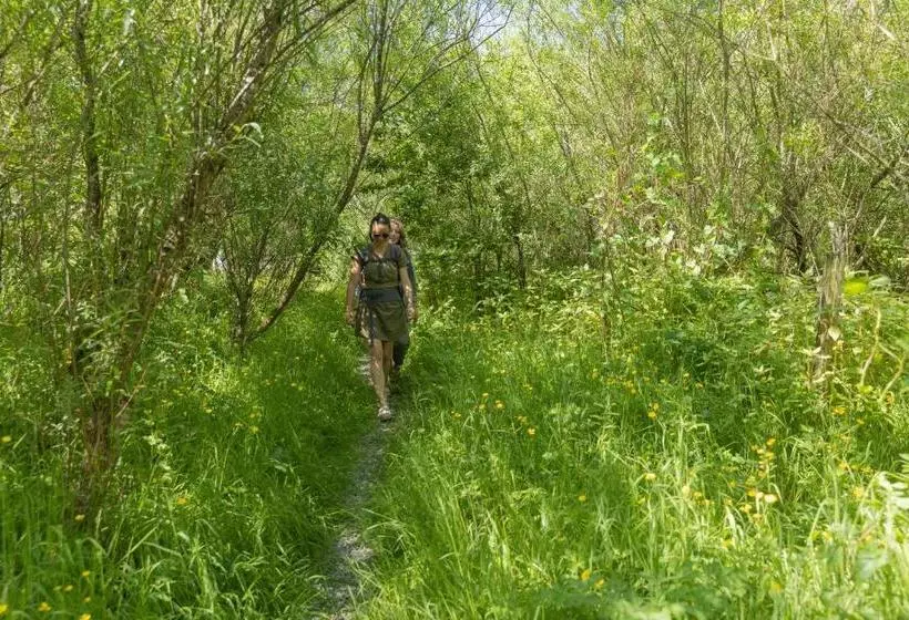 ユースホステル The Common Knowledge Centre