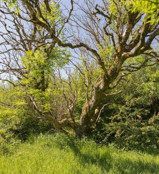 Cămin The Common Knowledge Centre