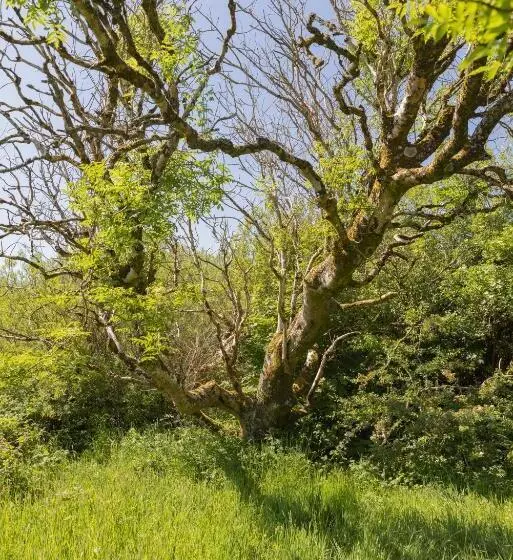 ユースホステル The Common Knowledge Centre