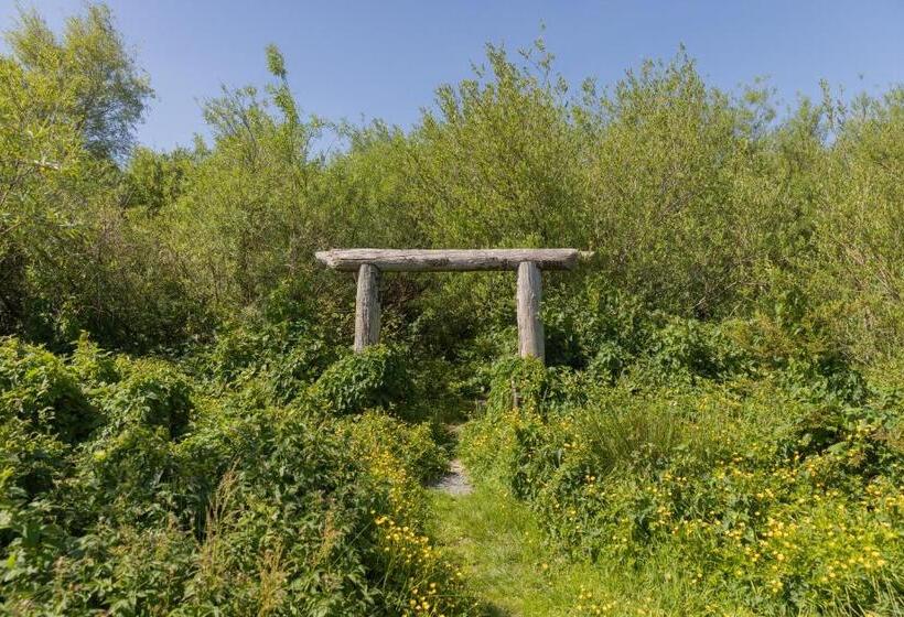 Cămin The Common Knowledge Centre