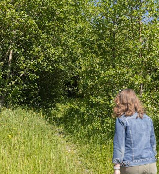 Cămin The Common Knowledge Centre