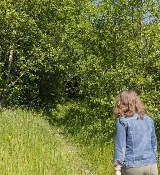 ユースホステル The Common Knowledge Centre