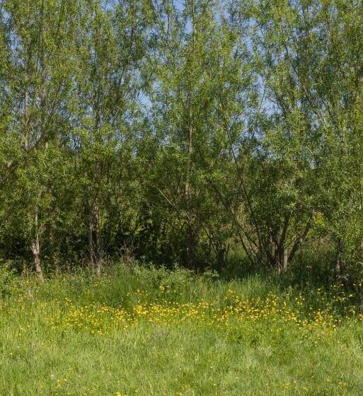 Cămin The Common Knowledge Centre