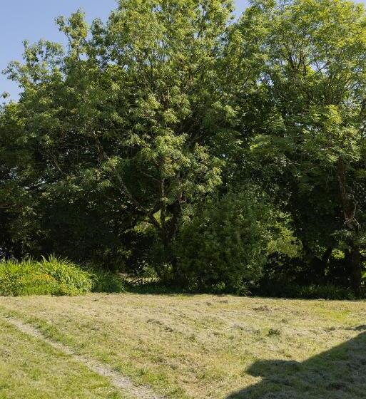 Cămin The Common Knowledge Centre